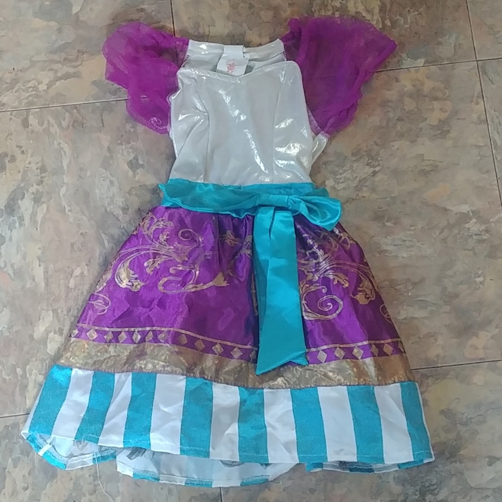 Girls dress up princess outfit